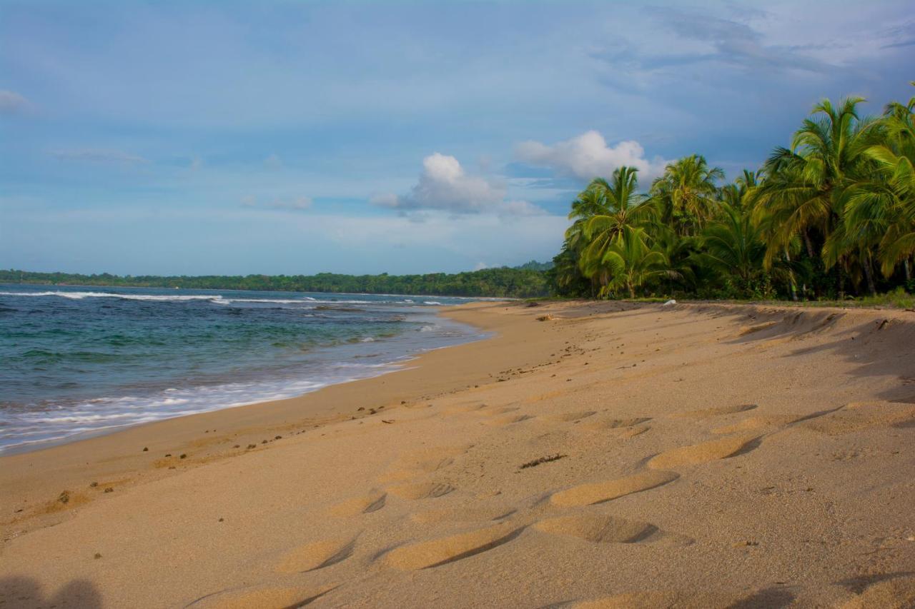 Hotel Sunshine Caribe Puerto Viejo de Talamanca Екстериор снимка