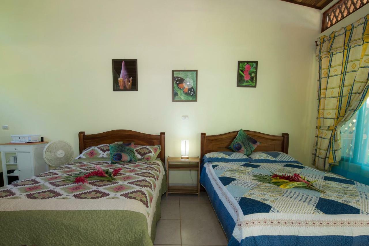 Hotel Sunshine Caribe Puerto Viejo de Talamanca Екстериор снимка